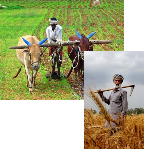 PM kisan samman nidhi yojana